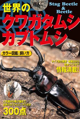 世界のクワガタムシ・カブトムシ カラー図鑑 飼い方