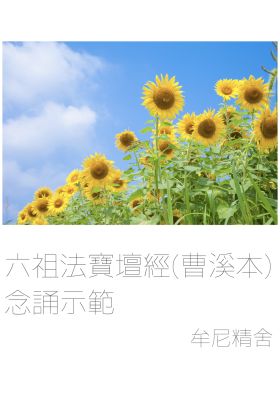 【有聲書】六祖法寶壇經(曹溪本) 念誦示範