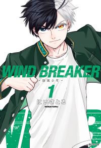 WIND BREAKER—防風少年—(01)