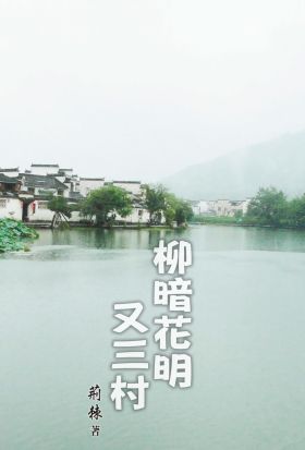 柳暗花明又三村