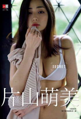 デジタル原色美女図鑑　片山萌美　SECRET