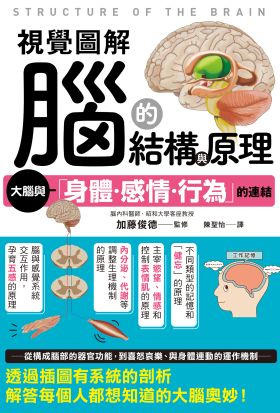 視覺圖解 腦的結構與原理