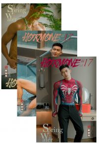 HORMONE Issue #17A+B+C
