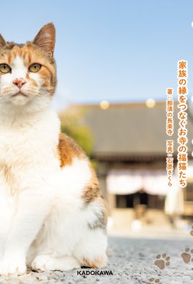 てらふくねこ　 家族の縁をつなぐお寺の福猫たち