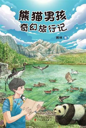 熊猫男孩奇幻旅行记（简体中文）