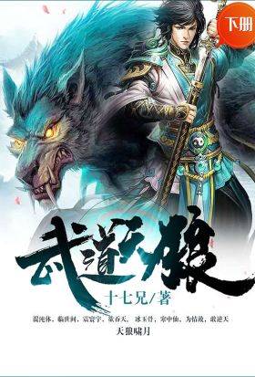 武道天狼（下冊）