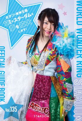 STARDOM OFFICIAL GUIDE BOOK Vol.135