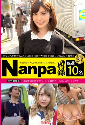 Nanpa図録 File.37