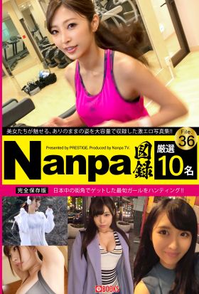 Nanpa図録 File.36