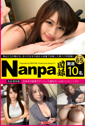 Nanpa図録 File.65