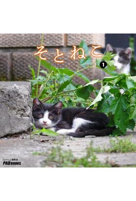 そとねこ　VOL.01