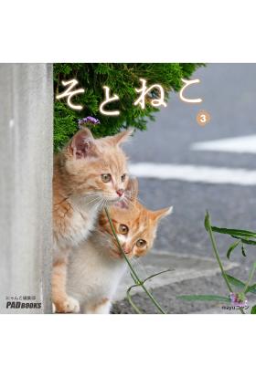 そとねこ　VOL.03