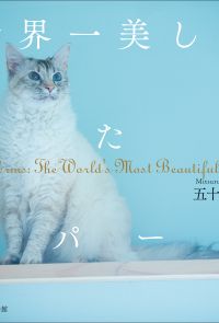 世界一美しい猫たち　ラパーマ～LaPerms: The World’s Most Beautiful Cats～