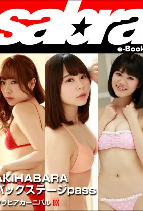 グラビアカーニバル　AKIHABARA バックステージpass 堀内華央理、久保田玲子、中村菜摘DX [sabra net e-Book]