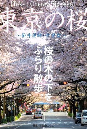 Tokyo Cherry Blossom　東京の桜　～新井薬師・哲学堂～