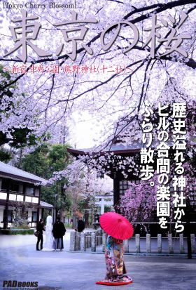 Tokyo Cherry Blossom　東京の桜　～新宿 中央公園・熊野神社(十二社)～