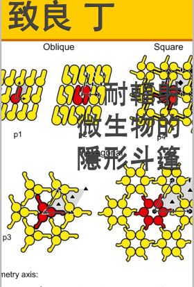 耐輻射微生物的隱形斗篷