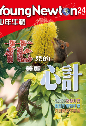 少年牛頓雜誌 2024年11月號 NO.242