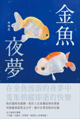 金魚夜夢