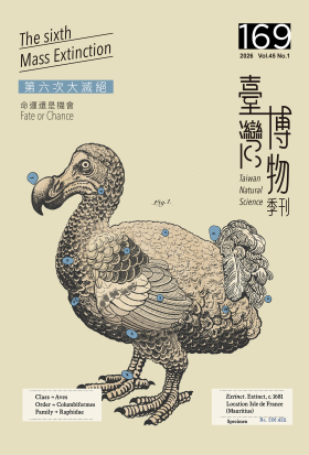 臺灣博物季刊第169期