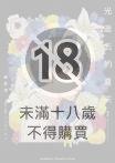 光逝去的夏天 (小說)