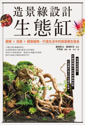 造景綠設計生態缸：蕨類×苔蘚×觀葉植物，打造生活中的微景觀生態系