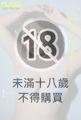 FLASHデジタル写真集　小野たまり　Iの才能