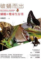 破蛹而出