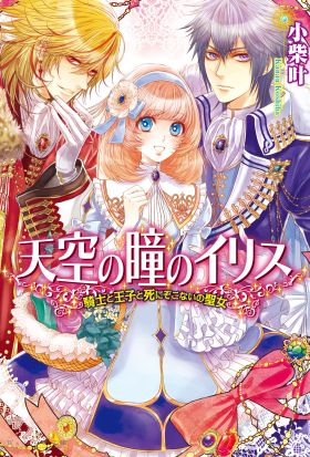 天空の瞳のイリス1 騎士と王子と死にぞこないの聖女