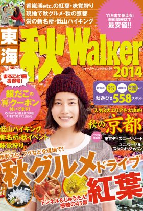 東海秋Walker2014