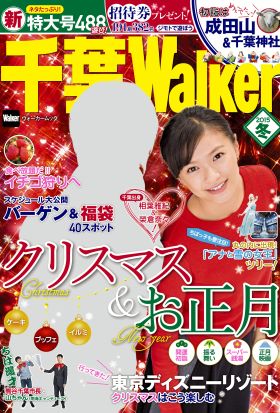 千葉Walker2015 冬