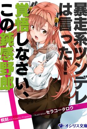 暴走系ツンデレは言った！「覚悟しなさい、この鈍感野郎」