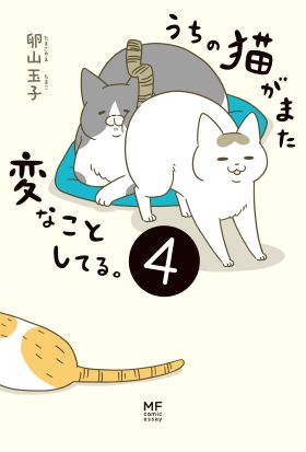 うちの猫がまた変なことしてる。４【電子特典付】