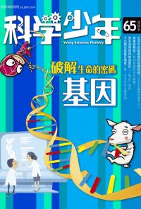 科學少年雜誌(第65期/2020年6月號)
